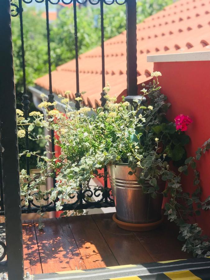 فيلا House Of Milka زادار المظهر الخارجي الصورة